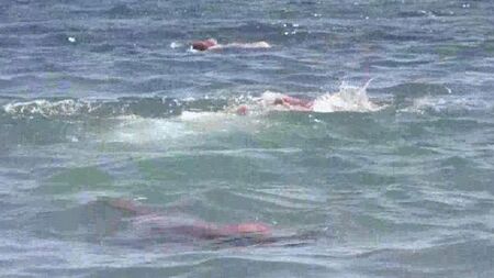 Desnudo maduro en la playa