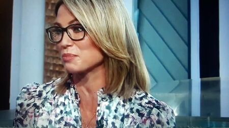 Las piernas de Amy Robach