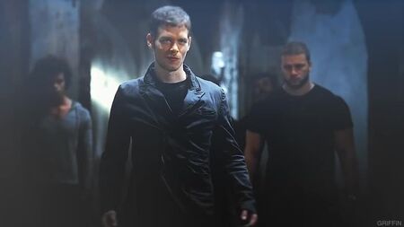 Klaus, Hayley, Hope {un hogar para ti}
