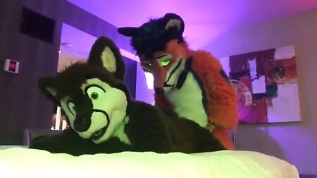 Dos furries gays follando 2