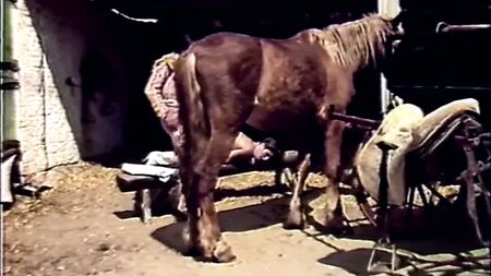 La mosca española (1985)