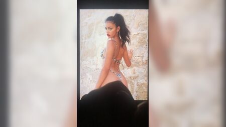 Homenaje a Cindy Kimberly Cum