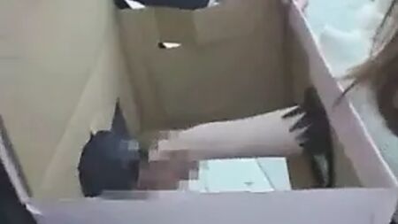 Dick en una caja 02