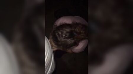 Dirtygirl614 le hace una mamada a un desconocido y se acuesta con él sin protección
