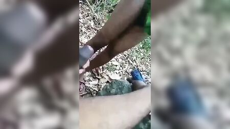 Sexo gay tamil al aire libre