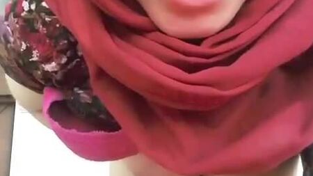 Melis turca 2
