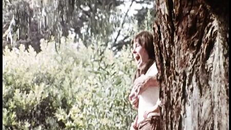 Al sur de la frontera (1976, EE. UU., película completa, copia de DVD)