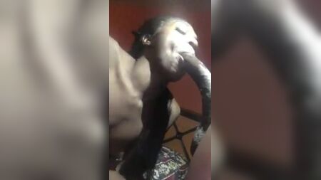TRANSEXUAL SE TRAGA una polla negra de talla 12