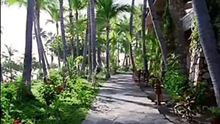 Hotel Erotica Cabo: El Instinto Primario