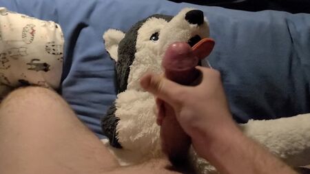 correrse sobre un peluche de husky
