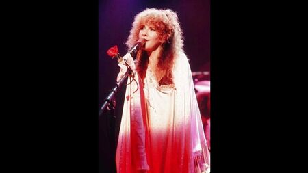¡La sexy Stevie Nicks!