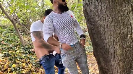 RFC HotPark: Viktor Rom y Hairy Sam