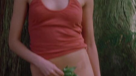 Ya no vivimos aquí (2004)