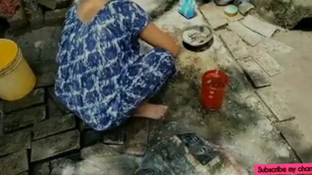 Vídeo sexual de una pareja de agricultores tamiles