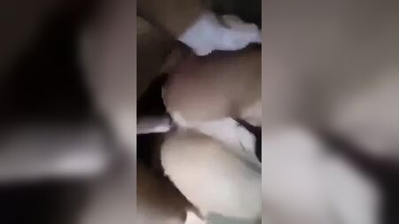 Dada, peluquera en Srebrenik
