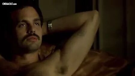 Meg Ryan desnuda en «In the Cut»
