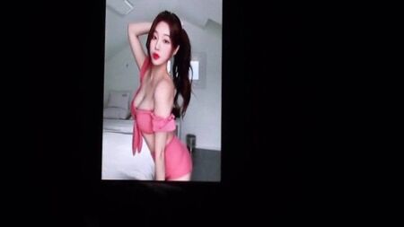 Homenaje a la streamer de IG HanKyung 1