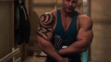 MÚSCULO DE SYNTHOL