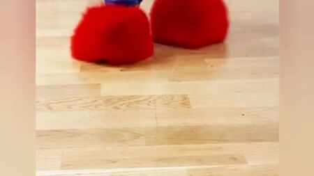zapatos de tacón rojos y mullidos