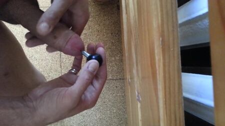 Plug anal de 22 cm de largo para mi pene