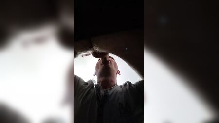 Chuparle la polla a un caballo