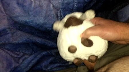 Sexo con el peluche de Wooloo de Pokémon