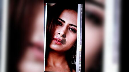 Sargun Mehta: Cómo rendir homenaje