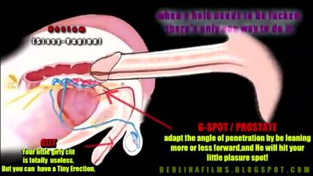¡Cómo alcanzar el orgasmo anal! Una visita obligada [mariquita, transexual, trampa, orgasmo, cum, sexo, puta]