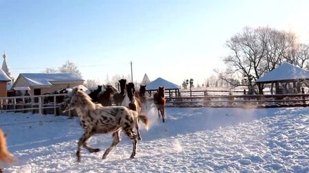 El invierno ruso. Avanpost