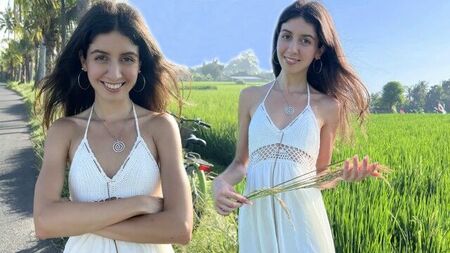 Linda cosechadora de arroz