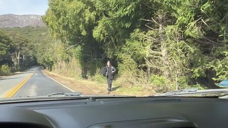 ¿Qué hará si lo llevo?