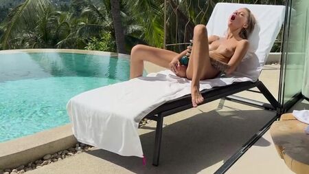 Las vacaciones de la zorrita solitaria