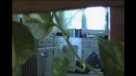 Pareja casada desnuda camina por el apartamento y folla
