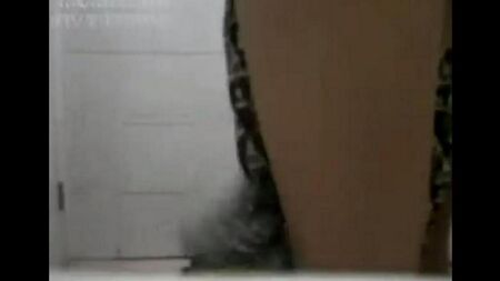 Rollers porno con mujeres chinas