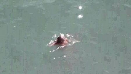 Par desnudo en el mar