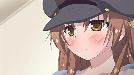 Hentai y Hentai para mayores de 18 años. ¡Onii-chan, por favor, abrázame así para siempre! 4