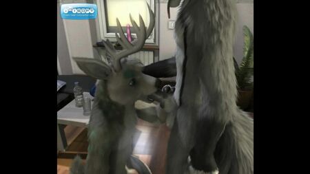 Caballos