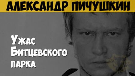 Alexander Pichushkin. Asesino en serie, maníaco. El horror del parque Bitsevsky