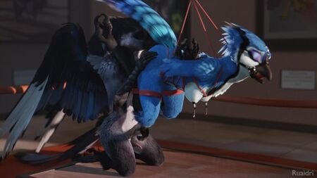 3D Yiff por ruaidri Porno furry Sexo E621 Mujer Aves Bondage BDSM
