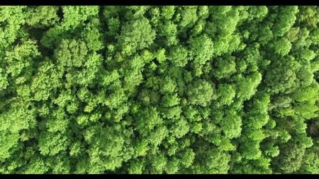 Vídeo de «Audio Stories». Historias de infidelidades. Historias de la vida real