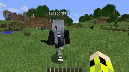 [Naisik Bro] ¡SI VES A UN MALDITO TÍO TÍMIDO CERCA DE TU CASA, CORRE RÁPIDO A MINECRAFT! SCP 096 SHY GUY MINECRAFT