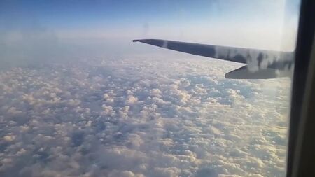 Le hizo una mamada directamente en el avión (porno, incesto, follada, Pornhub, MILF, mamá, coño, sexo, porno, follar, maduras, puta, le gusta el anal)