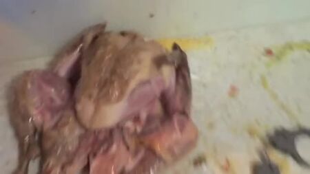[HowToBasic] Cómo rellenar un pavo