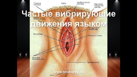 Cómo practicar correctamente el cunnilingus, el orgasmo, el sexo anal y la masturbación