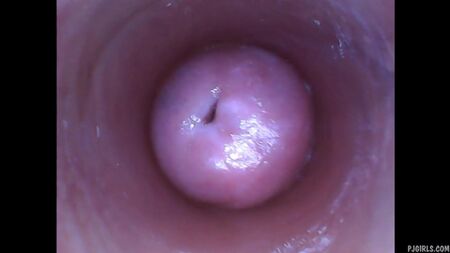 El interior de la vagina de una mujer en calidad HD