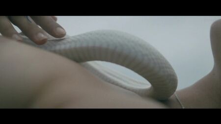 Paz de la Huerta, Dianna Agron, etc. Desnudas - Bare (2015) Ver online / Dianna Agron, Paz de la Huerta - Desnudas