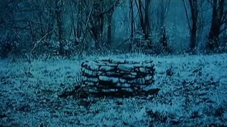 Sadako, el monstruo en 3D_1080p: vídeo porno hentai de «The Ring» según la regla 34