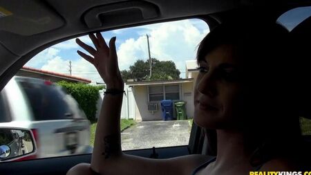 Follo delgado con el recogedor en el auto