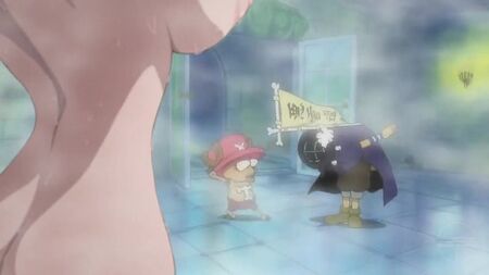 One Piece — La escena del baño de Nami (filtro de desnudo)