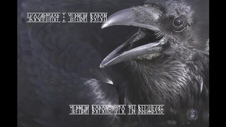 Skogarmaor - Black Raven (vídeo con la letra)